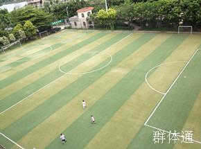 夏園足球場(chǎng) 夏園足球場(chǎng)