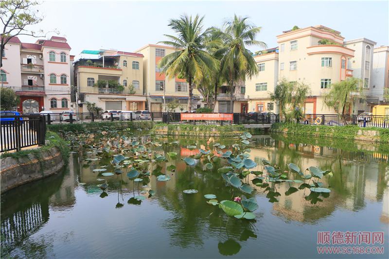 容桂南區(qū)社區(qū)持續(xù)提升人居環(huán)境，社區(qū)面貌展新顏