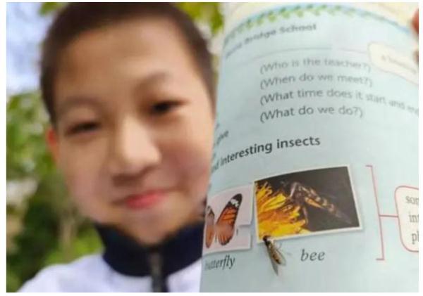 后生可畏！又有學(xué)生發(fā)現(xiàn)教科書錯(cuò)誤，這次是上海10后！