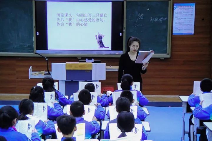 語文怪象：學的是草船借箭，考的卻是赤壁之戰(zhàn)，考得越廣學得越淺