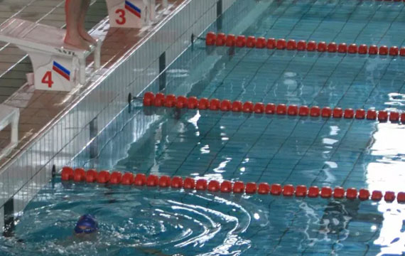 2019年首都高等學(xué)校游泳錦標(biāo)賽 2019年首都高等學(xué)校游泳錦標(biāo)賽