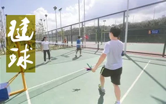 2019年北京市中小學(xué)生毽球比賽 2019年北京市中小學(xué)生毽球比賽