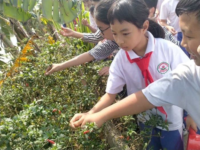IMG20210315141314.jpg