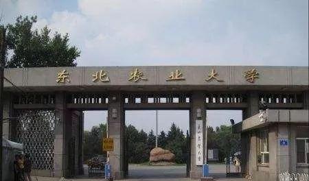 兩校合并，黑龍江將迎來一所新大學(xué)？教育廳有明確回復(fù)，值得期待
