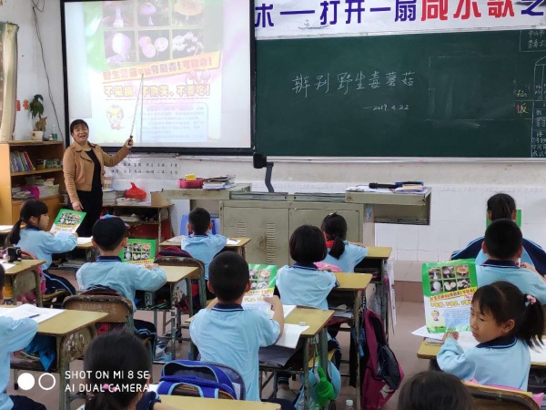毒蘑菇.jpg