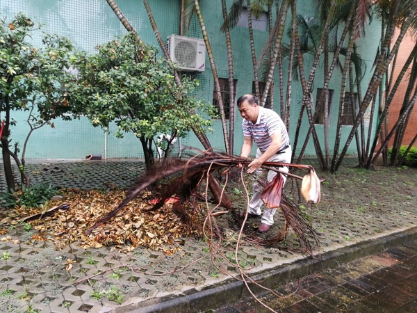 QQ圖片20190710164844.jpg