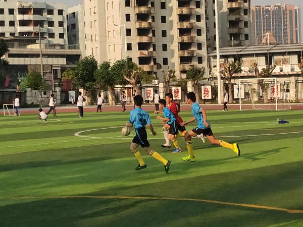 IMG_20191120_160622.jpg