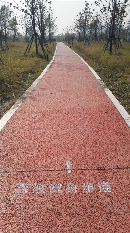 長興生態(tài)廊道G40大轉盤健身步道