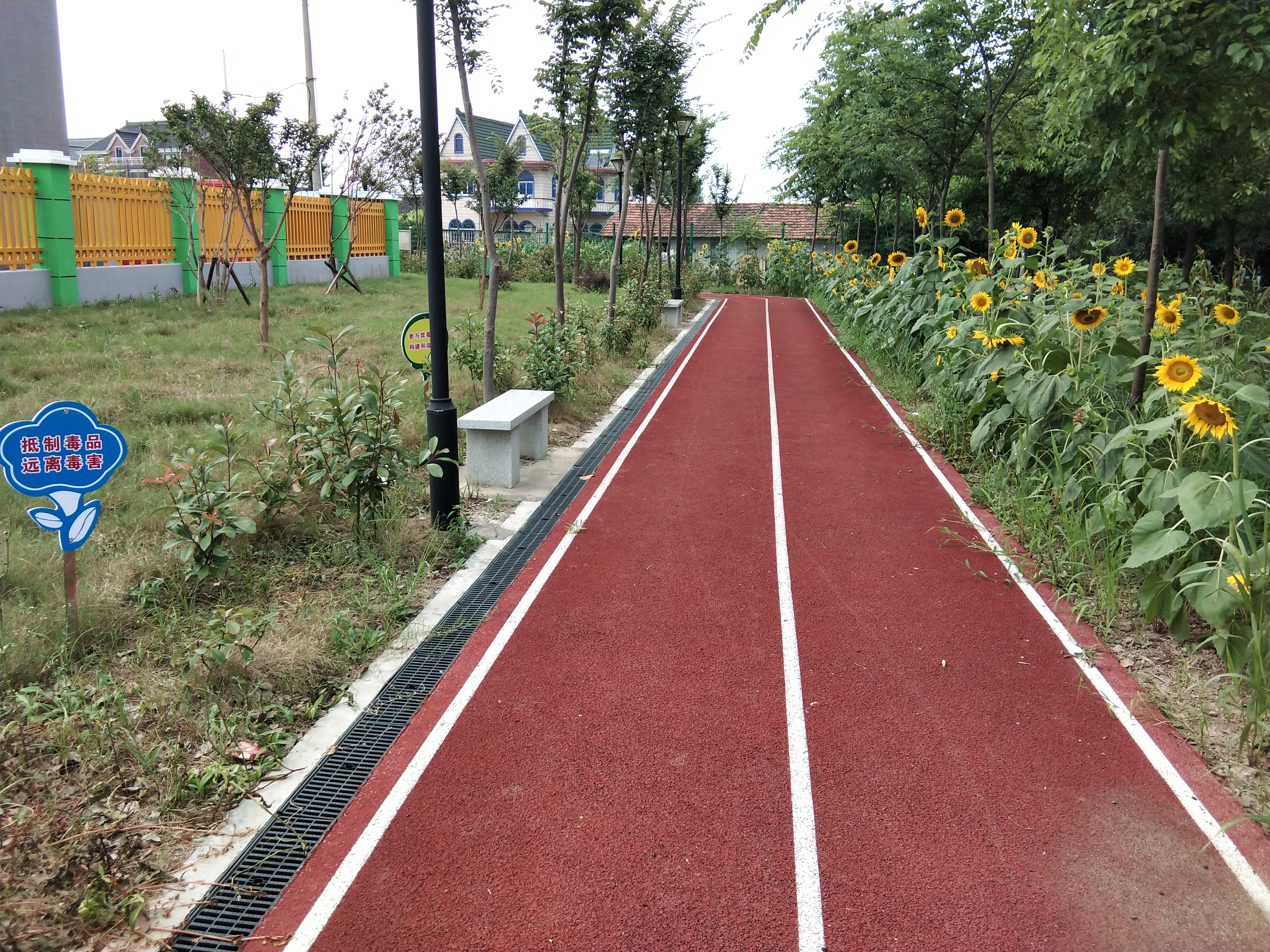 四團(tuán)鎮(zhèn)向陽(yáng)村市民健身步道 四團(tuán)鎮(zhèn)向陽(yáng)村市民健身步道