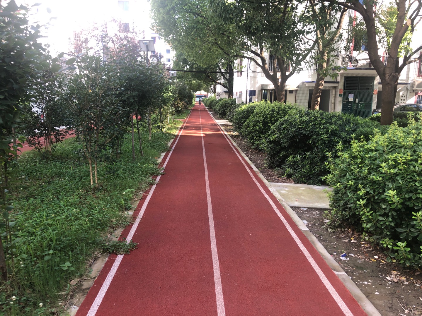 鄔橋居委健身步道 鄔橋居委健身步道