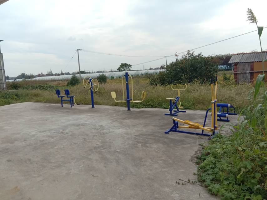 崇明區(qū)中興鎮(zhèn)汲浜15隊健身點(diǎn)