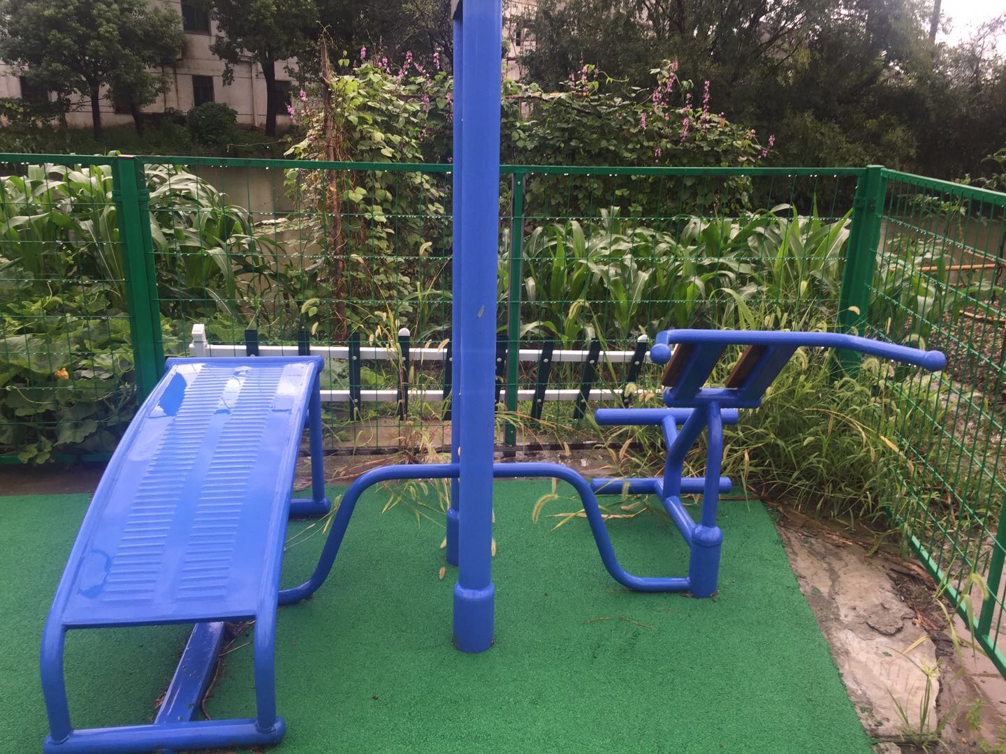 雙立柱腹背訓(xùn)練器 雙立柱腹背訓(xùn)練器