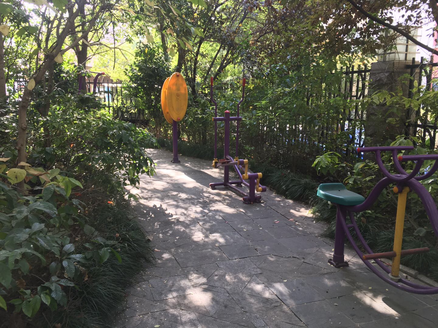 國際公寓健身苑點 國際公寓健身苑點