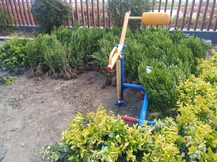 腹背鍛煉器 腹背鍛煉器