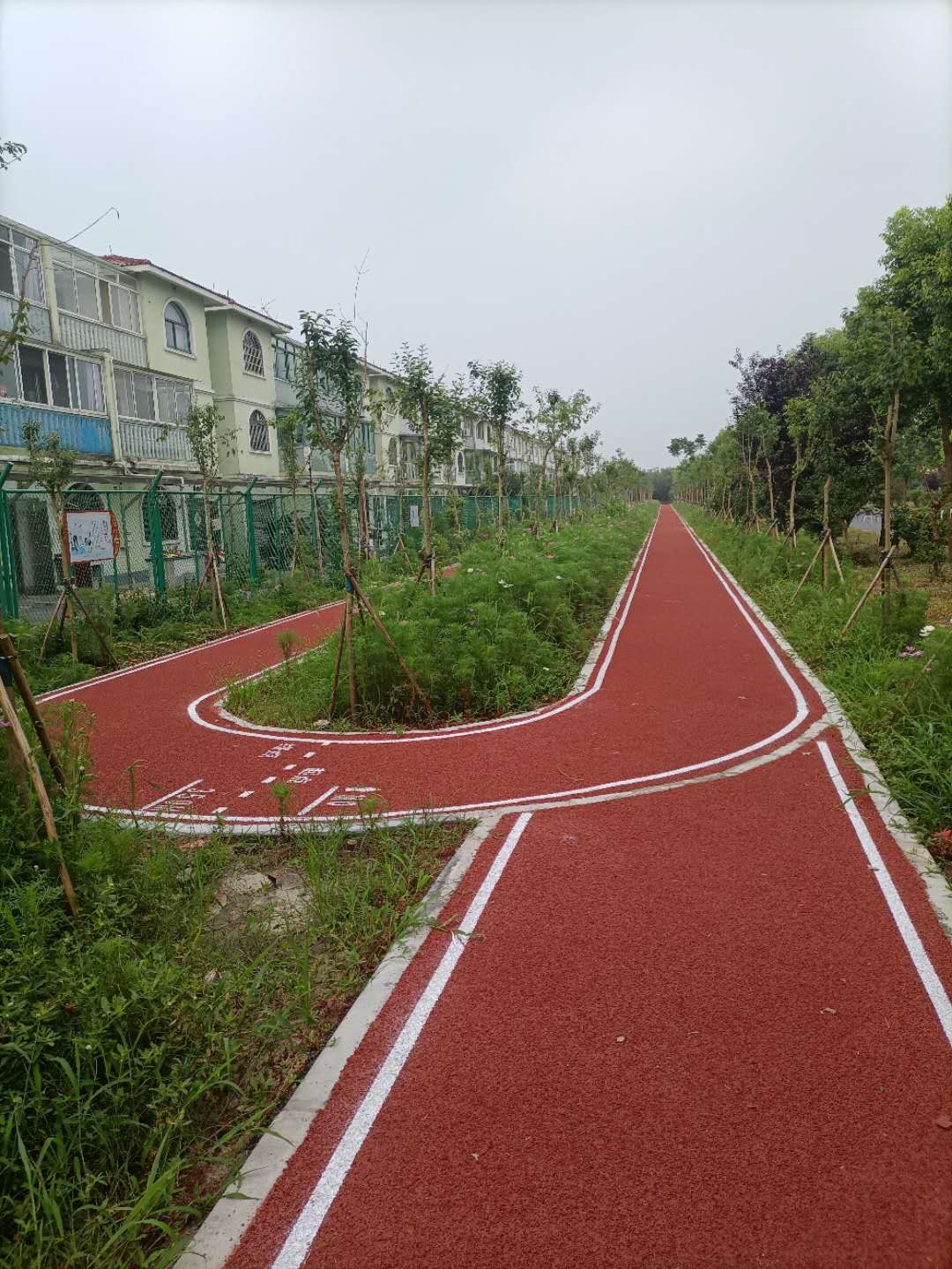 新葉村第三步道 新葉村第三步道