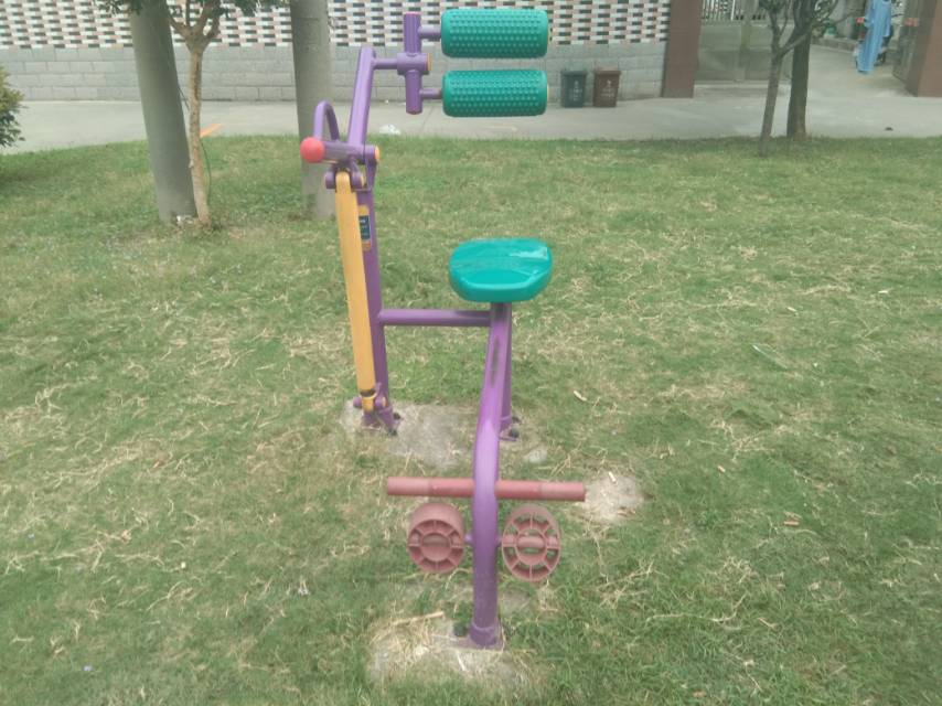 雙立柱腹背訓(xùn)練器