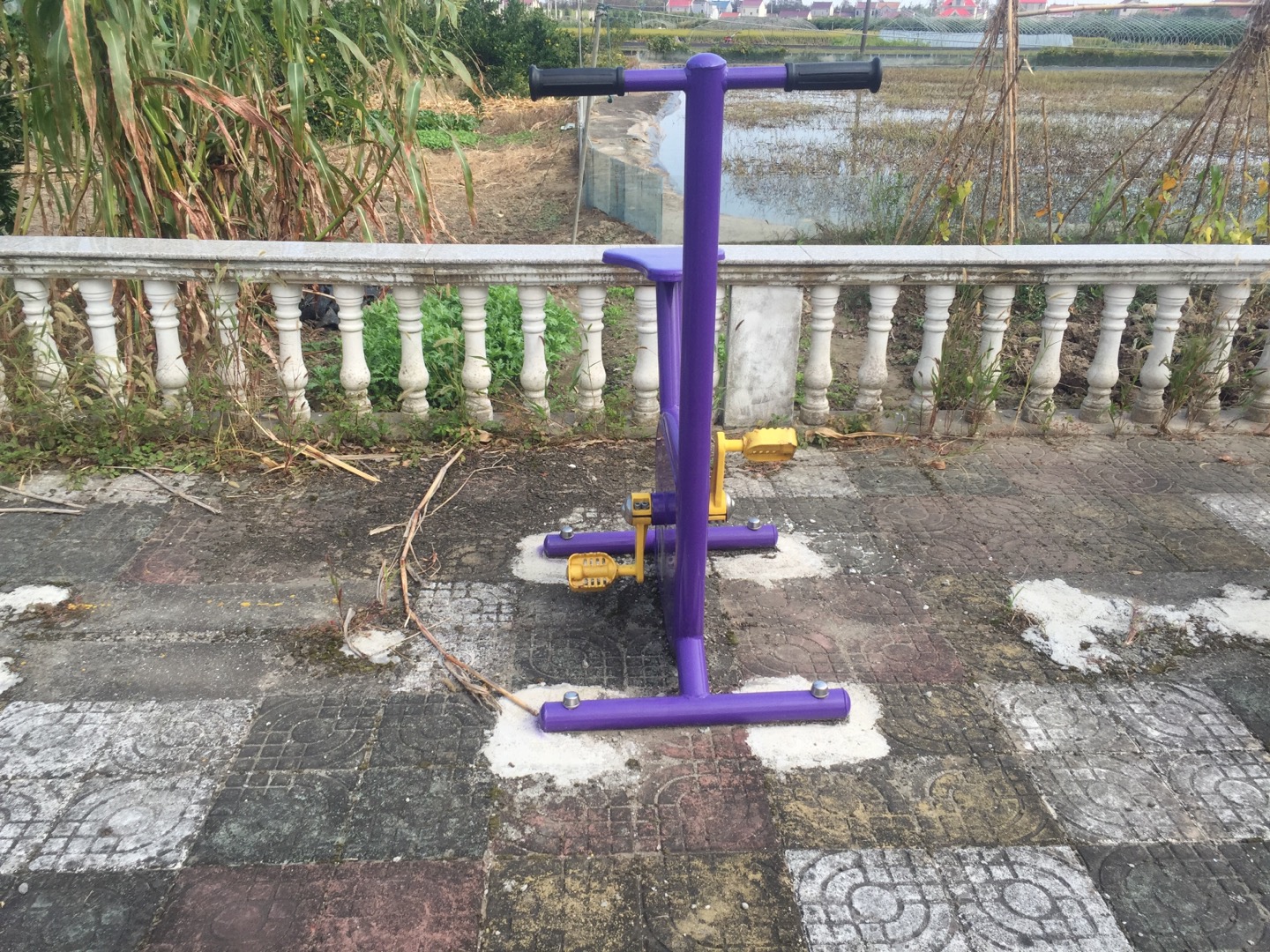 雙位健身車 雙位健身車