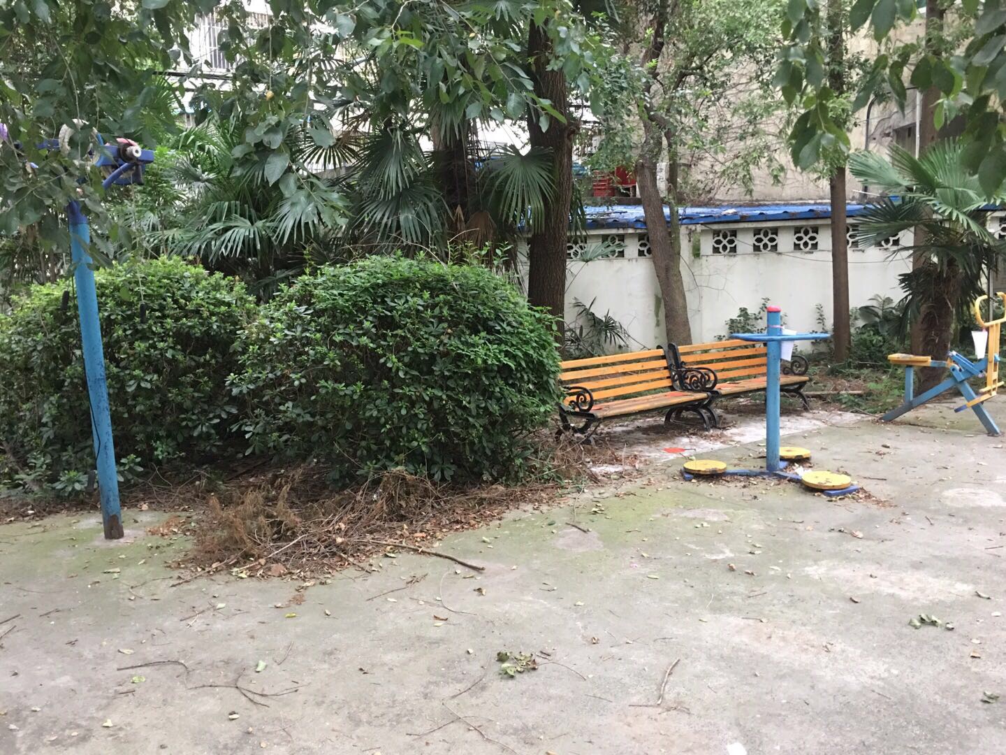 豐西社區(qū)健身苑點(diǎn)（5）