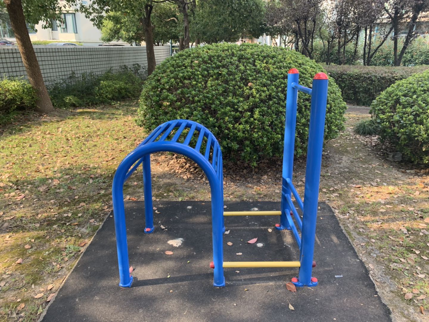 腰背伸展器 腰背伸展器