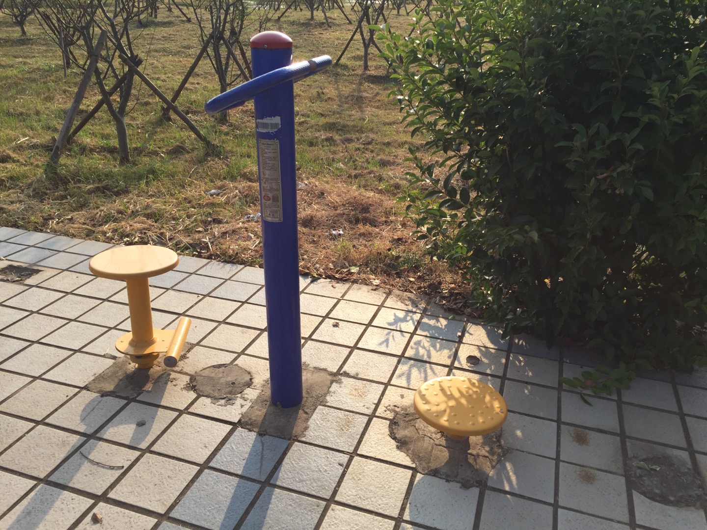 雙位扭腰器 雙位扭腰器