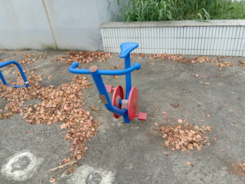 直立健身車 直立健身車