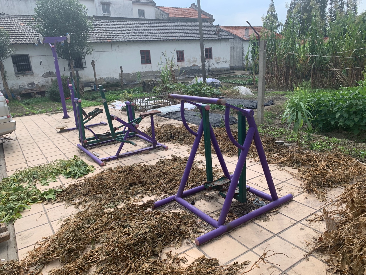 新源村1、2隊