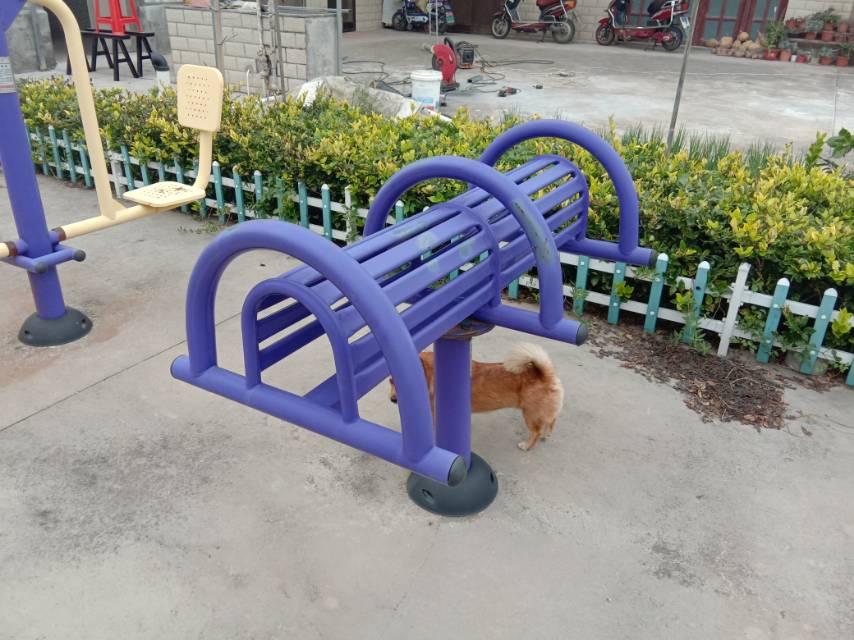 腰背伸展器 腰背伸展器