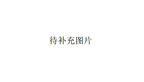 太極揉推器 太極揉推器