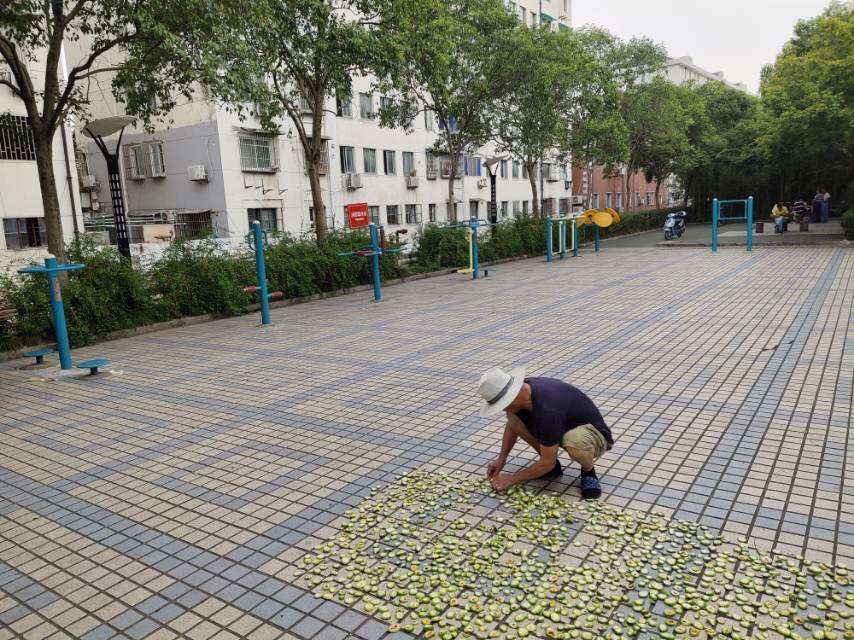 花園弄居委健身點(diǎn)