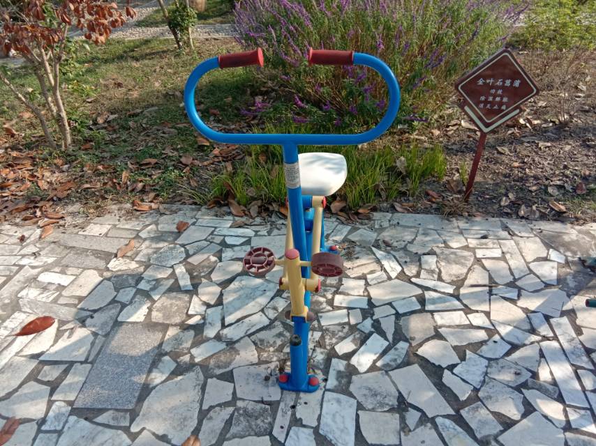 腰力鍛煉器 腰力鍛煉器