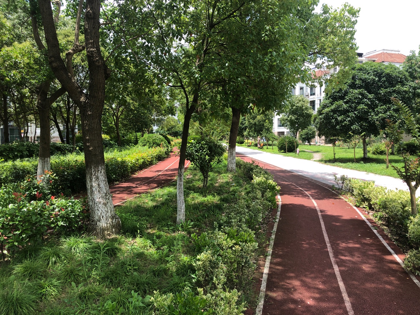 麗水灣健身步道 麗水灣健身步道