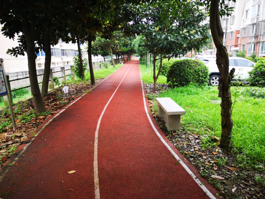 泰東新村健身步道 泰東新村健身步道