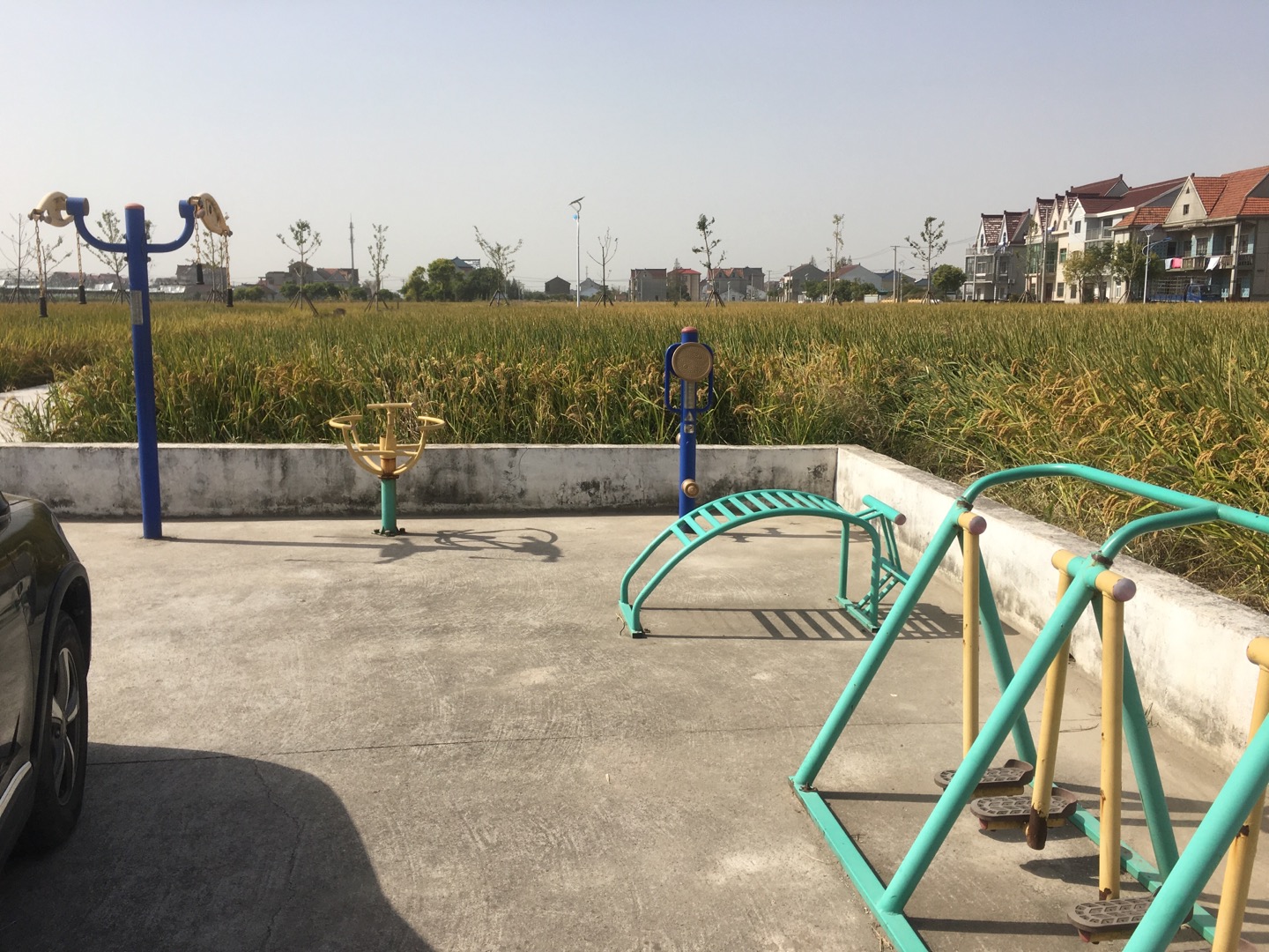 老港鎮(zhèn)大河村民委員會(huì)港南1組健身苑點(diǎn)