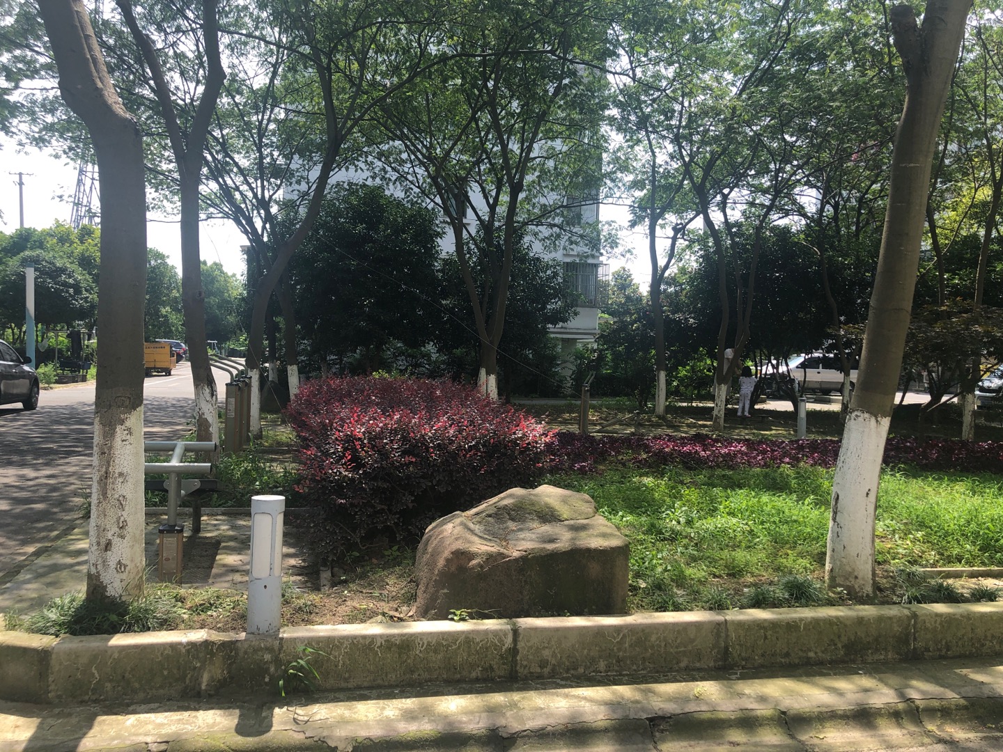 莊行鎮(zhèn)新苑第四健身點(diǎn) 莊行鎮(zhèn)新苑第四健身點(diǎn)