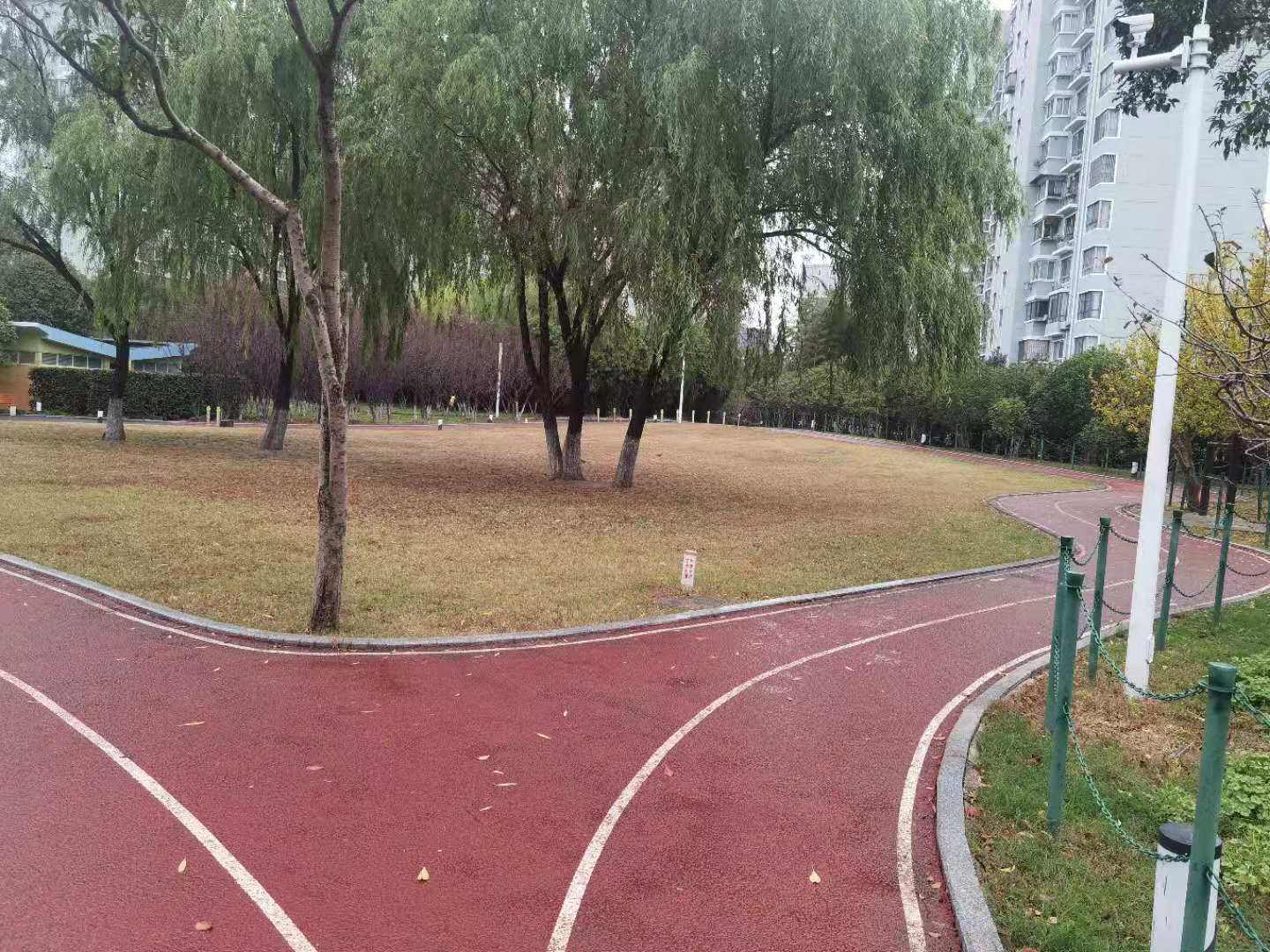 大寧郁金香公園市民健身步道二 大寧郁金香公園市民健身步道二