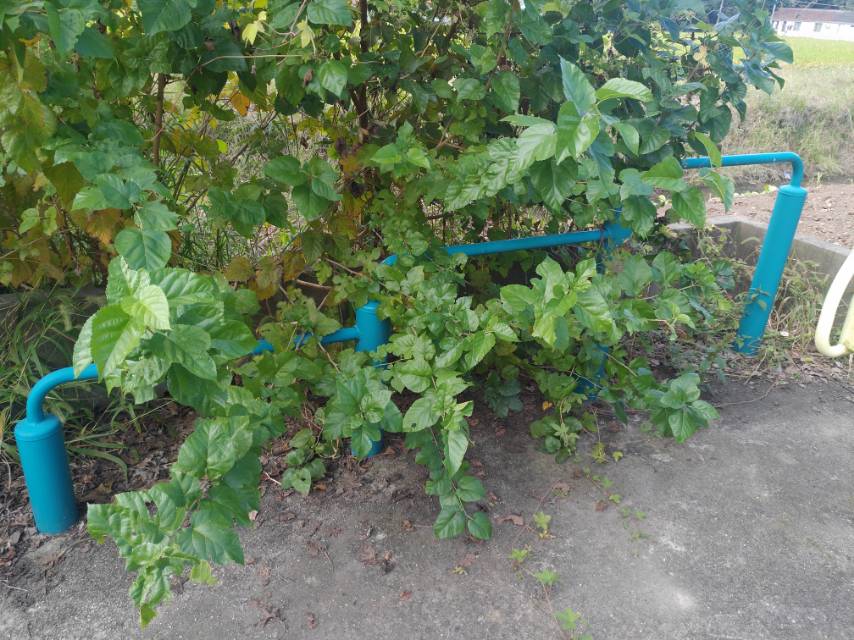 彈震壓腿器 彈震壓腿器