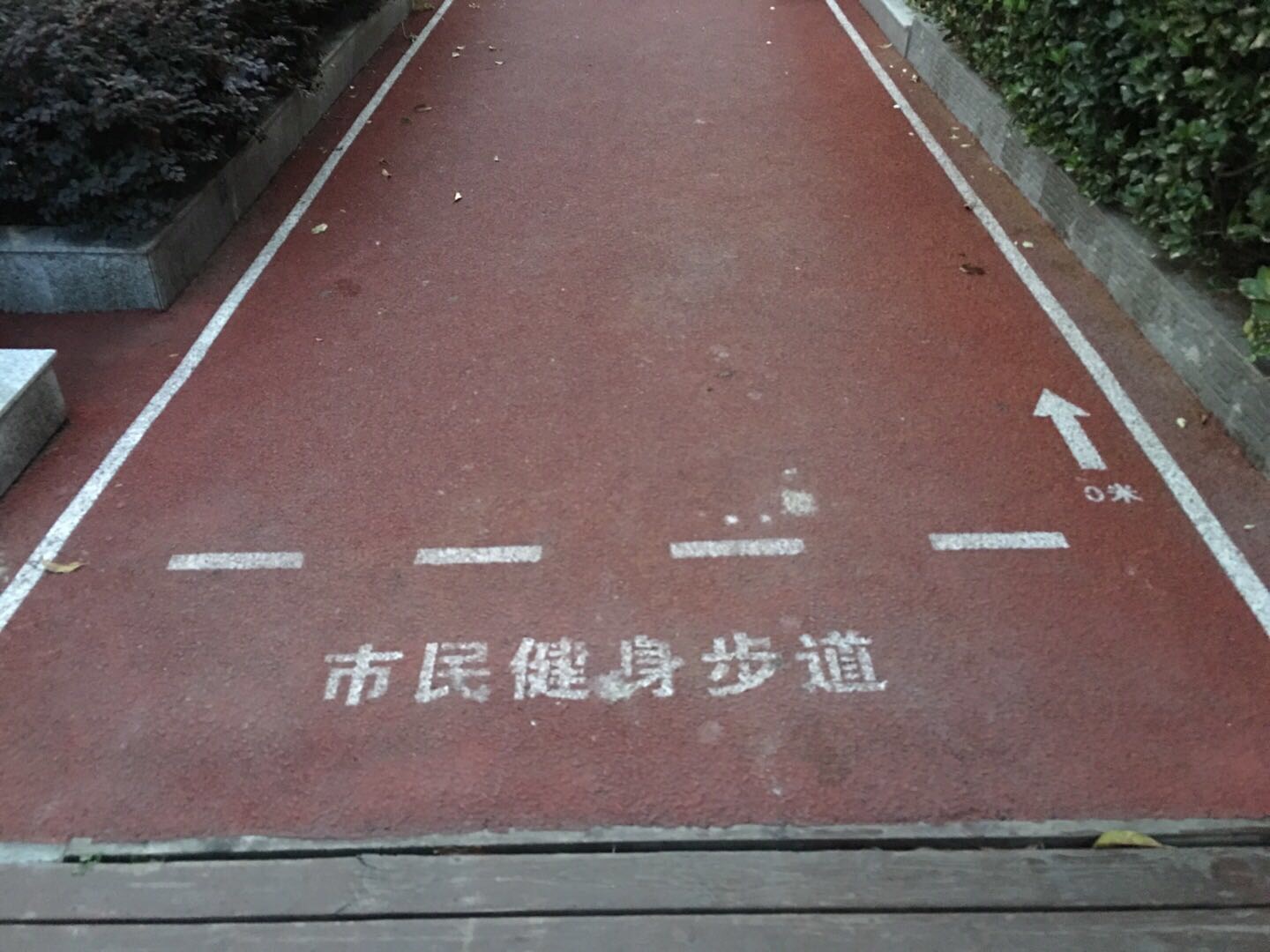 杏楊園市民健身步道