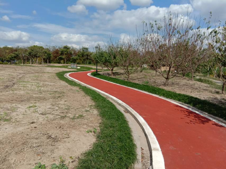 向化鎮(zhèn)米新市民健身步道