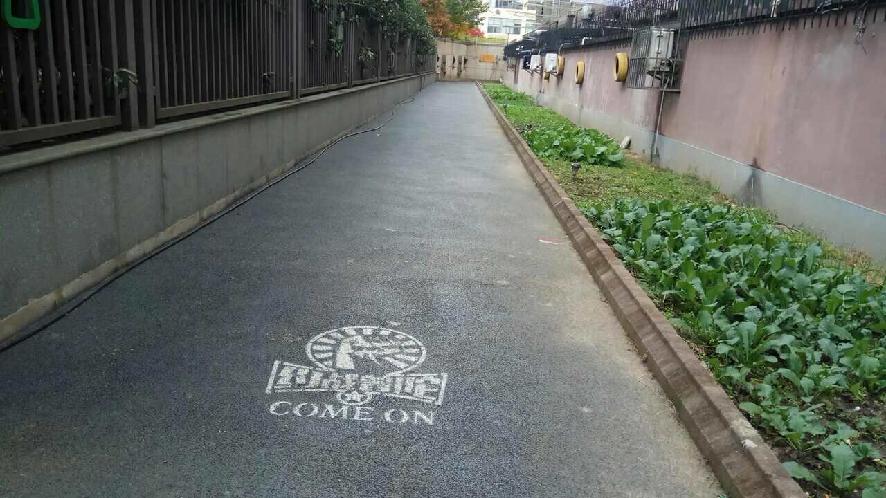 曹楊花苑市民健身步道2 曹楊花苑市民健身步道2