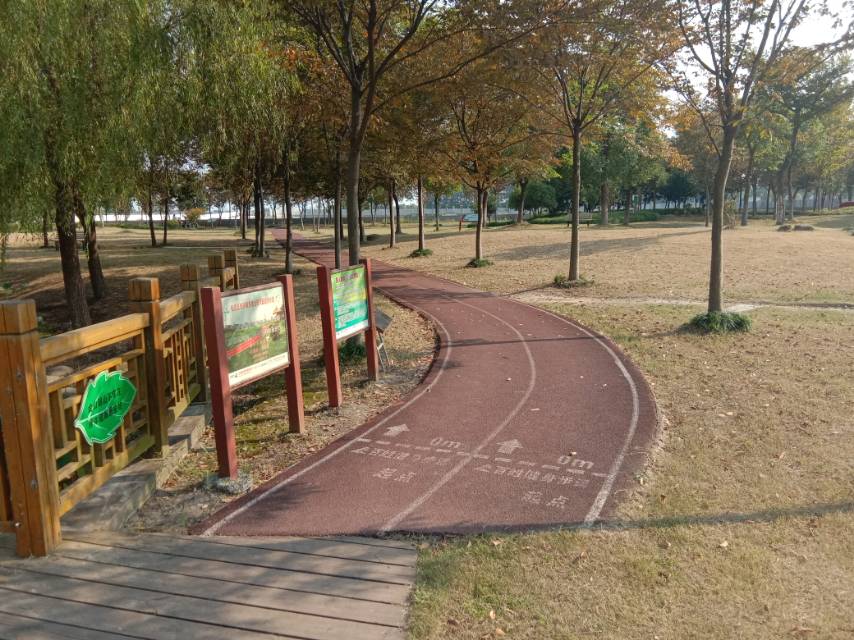 新浜市民公園市民健身步道2