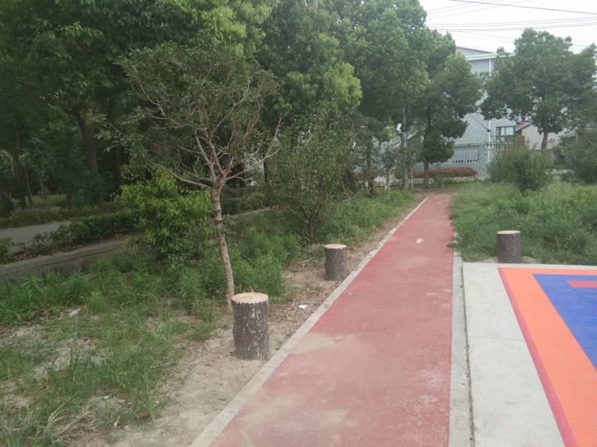 公共運(yùn)動(dòng)場(chǎng)