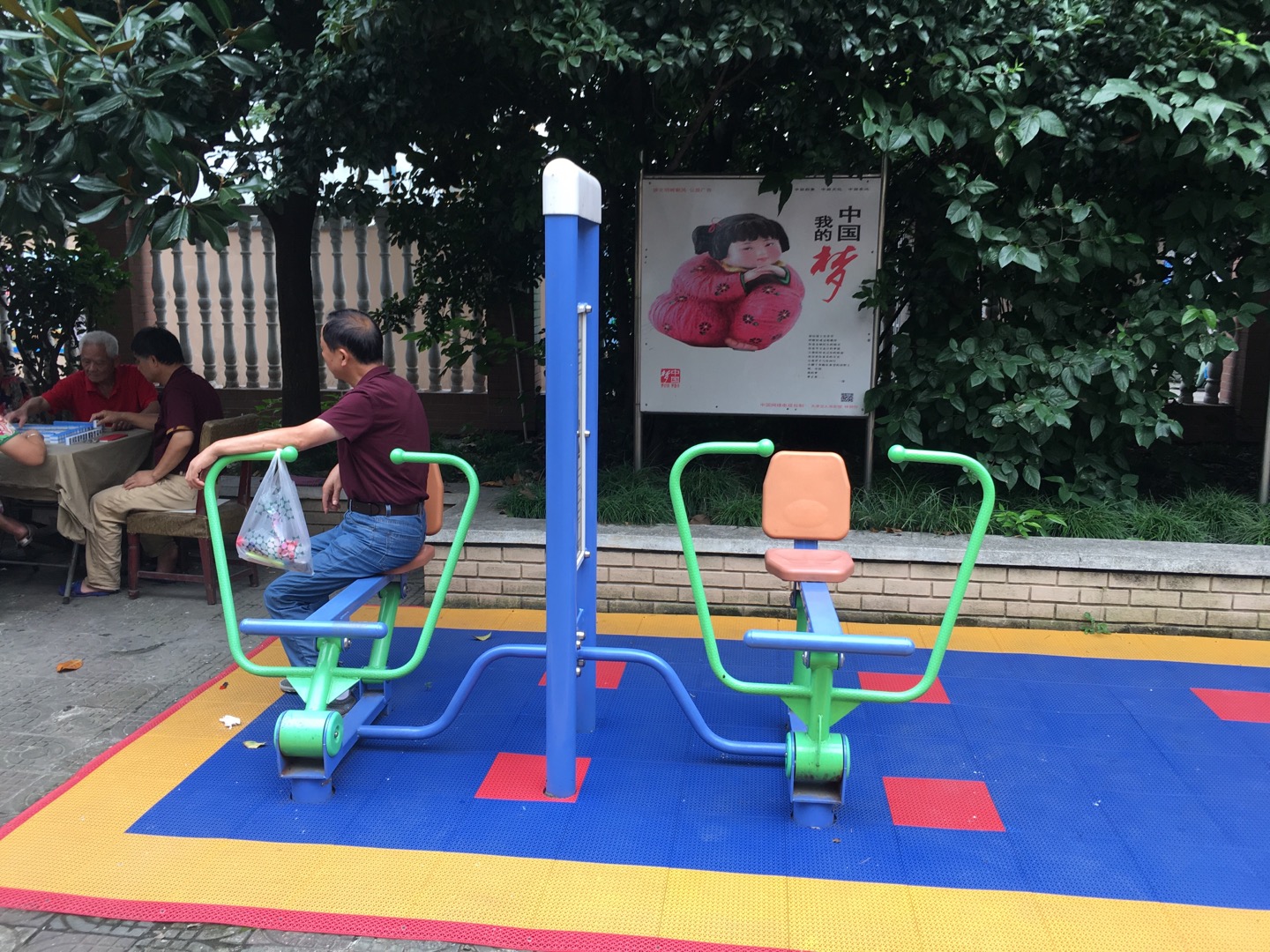 雙立柱平推平拉訓(xùn)練器 雙立柱平推平拉訓(xùn)練器