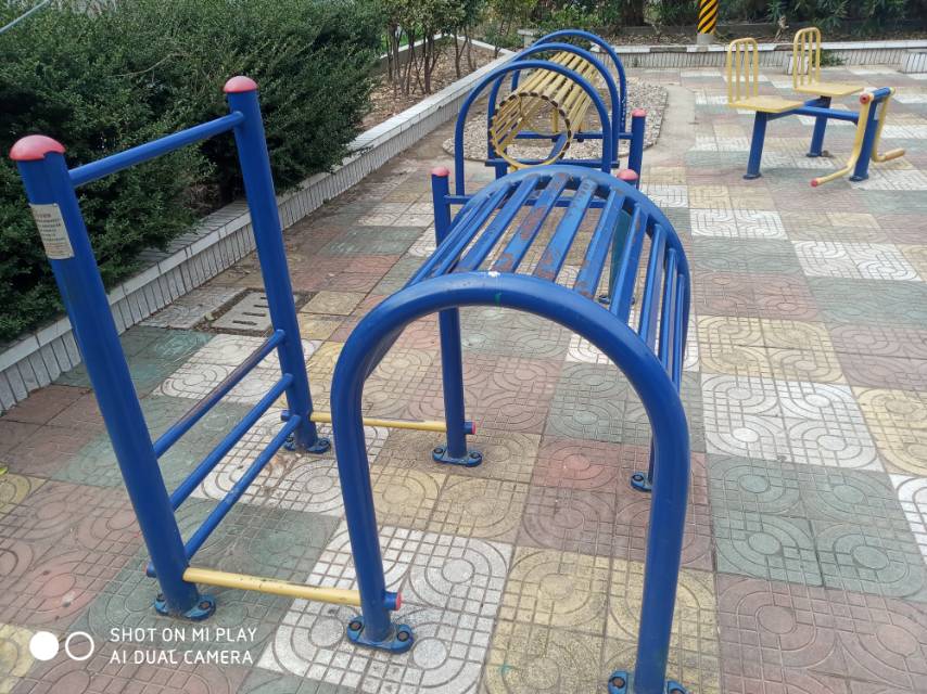 腰背伸展訓練器 腰背伸展訓練器