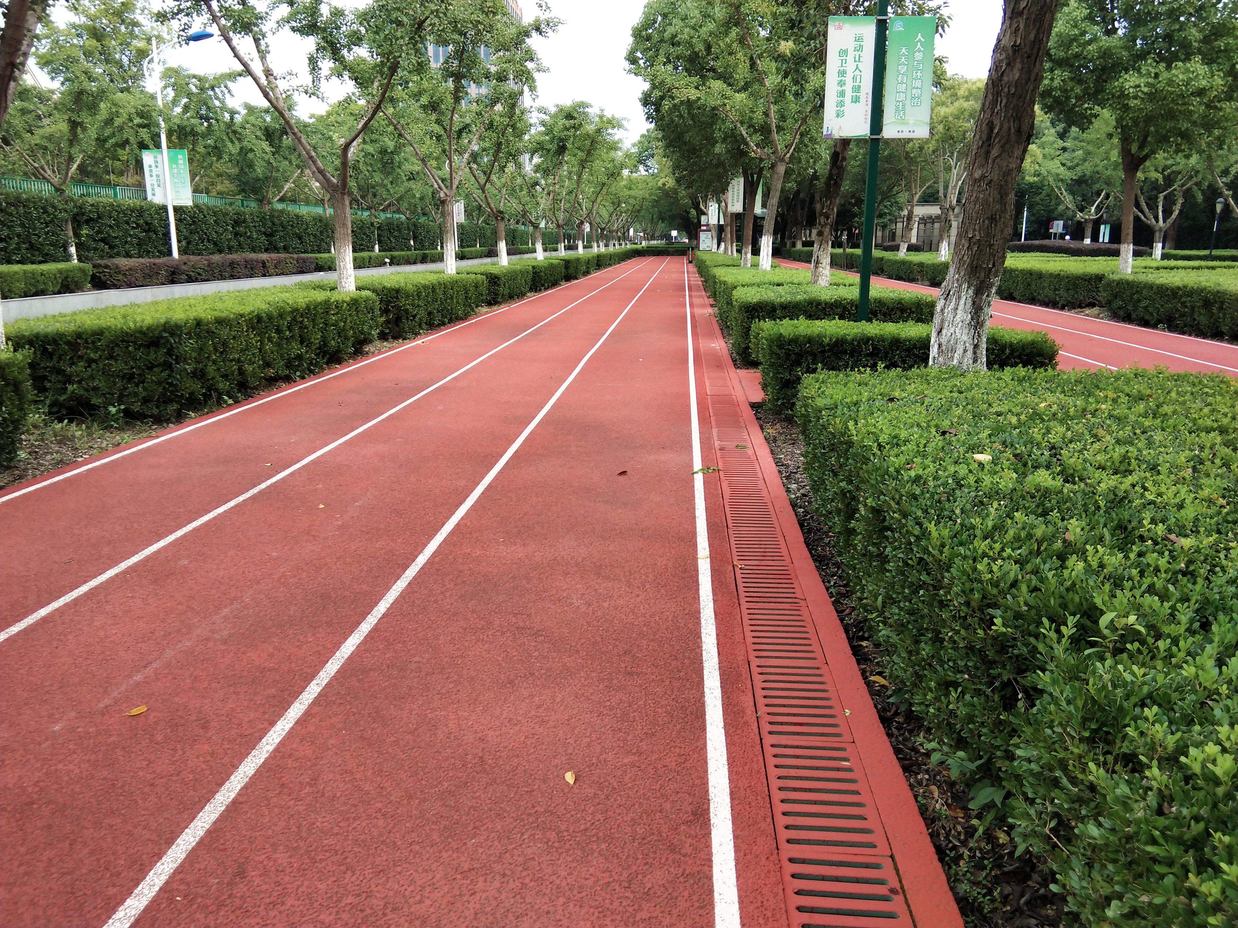 韓誼路市民健身步道(南) 韓誼路市民健身步道(南)