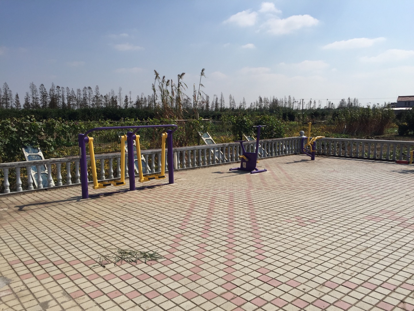 新聯(lián)村十二組健身點