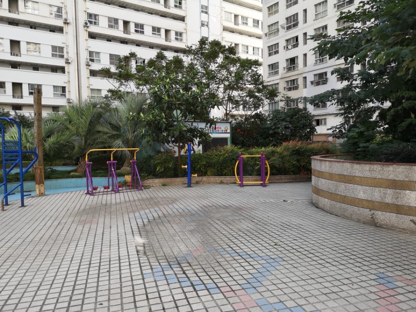 中福二居委健身點(diǎn) 中福二居委健身點(diǎn)