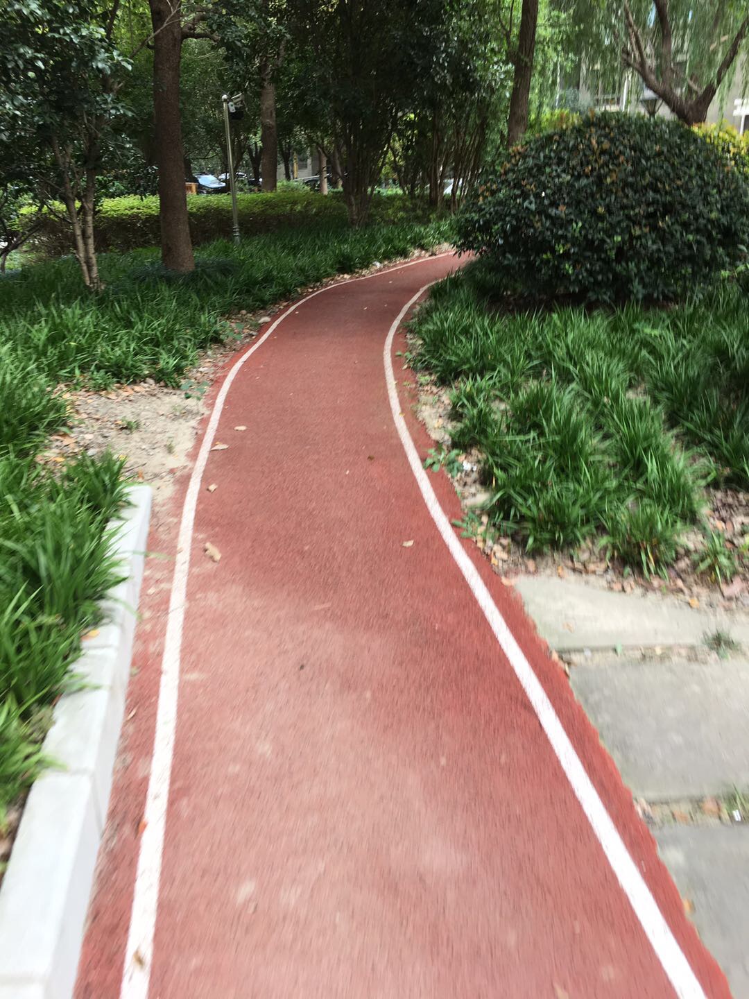 星河世紀(jì)城櫻樹芳庭市民健身步道