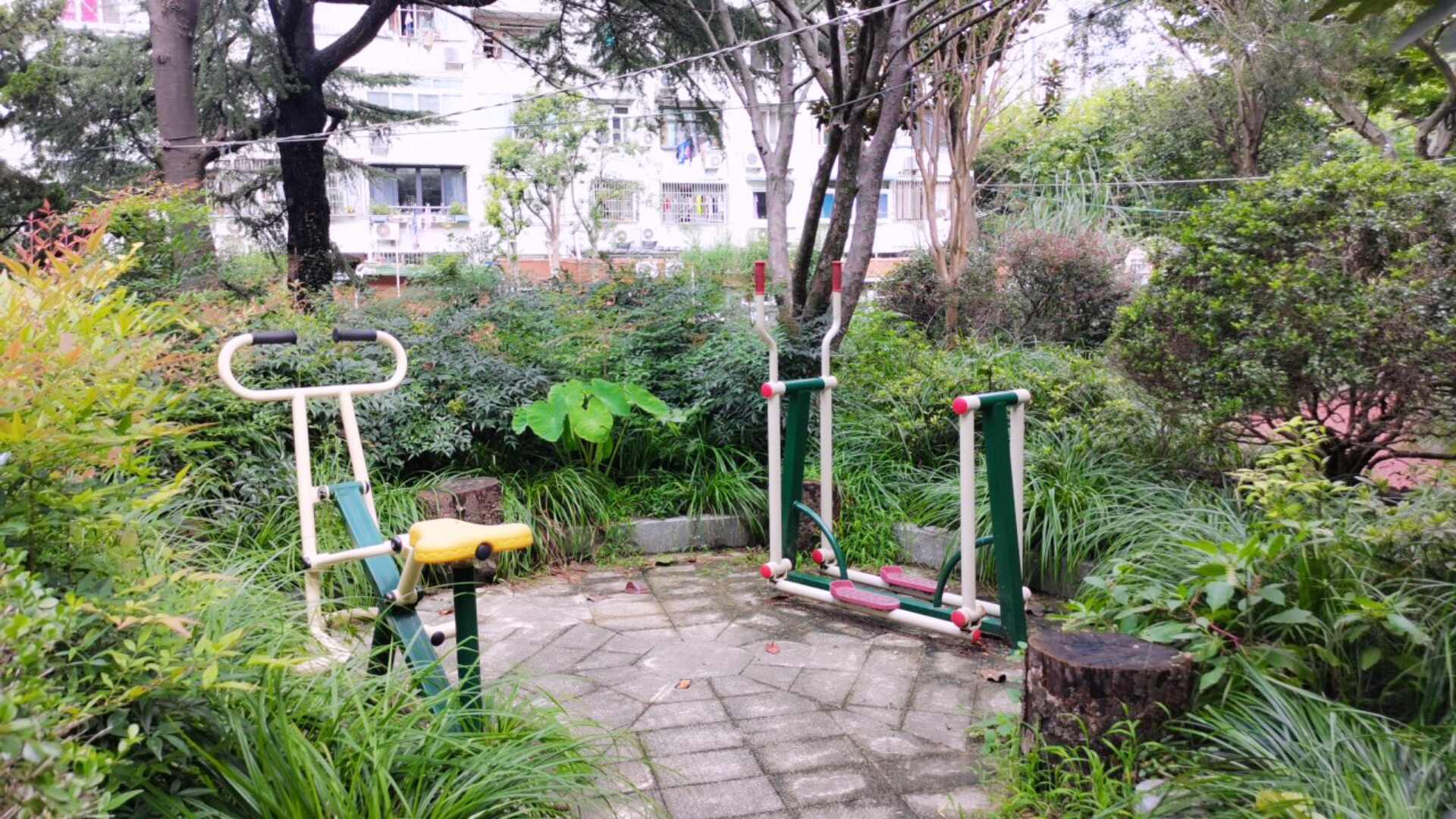 曹楊五村199號健身點 曹楊五村199號健身點