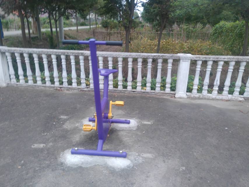 雙位健身車 雙位健身車