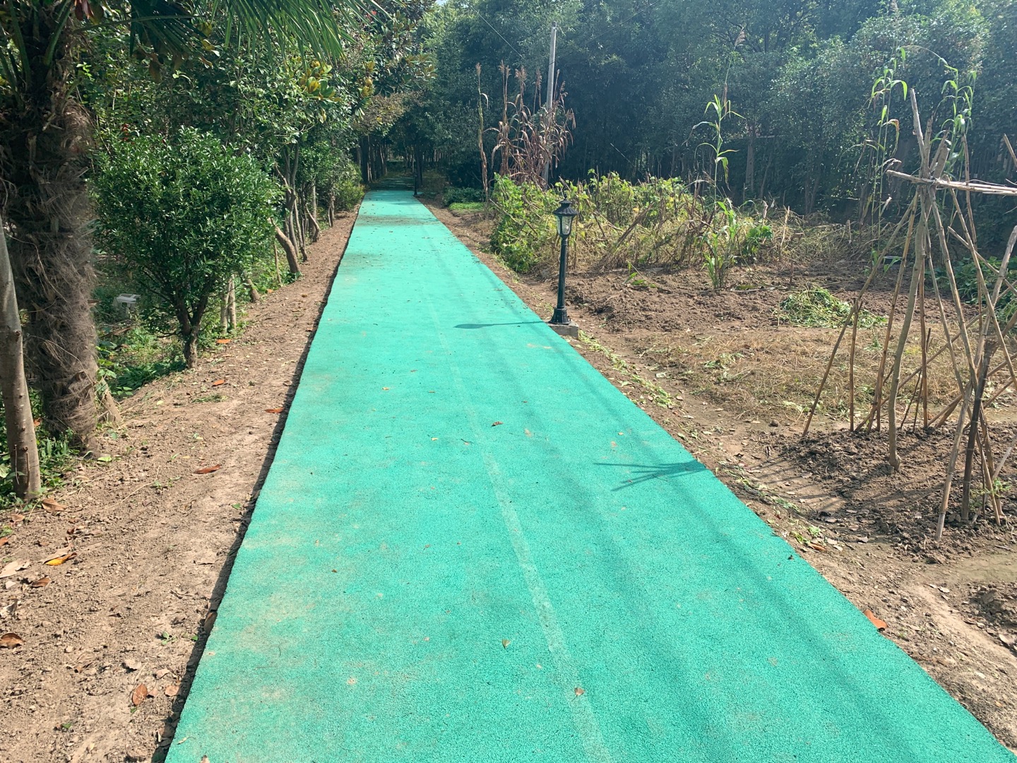 三星鎮(zhèn)育德村健身步道